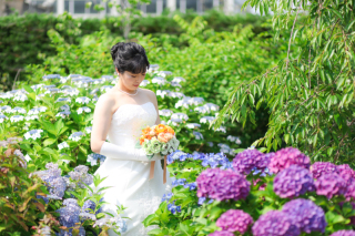 6月季節を感じるロケーションフォト