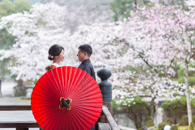 ピンクの桜と赤の番傘とのショット