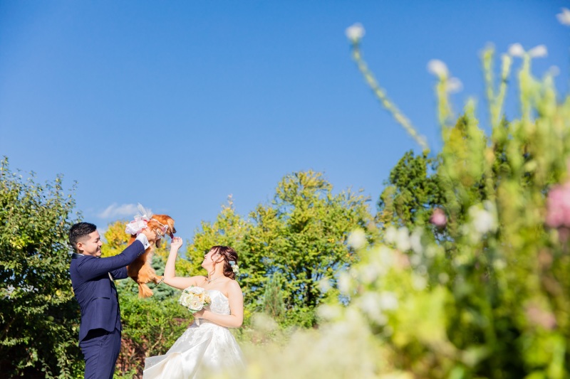 ライオンキング！！