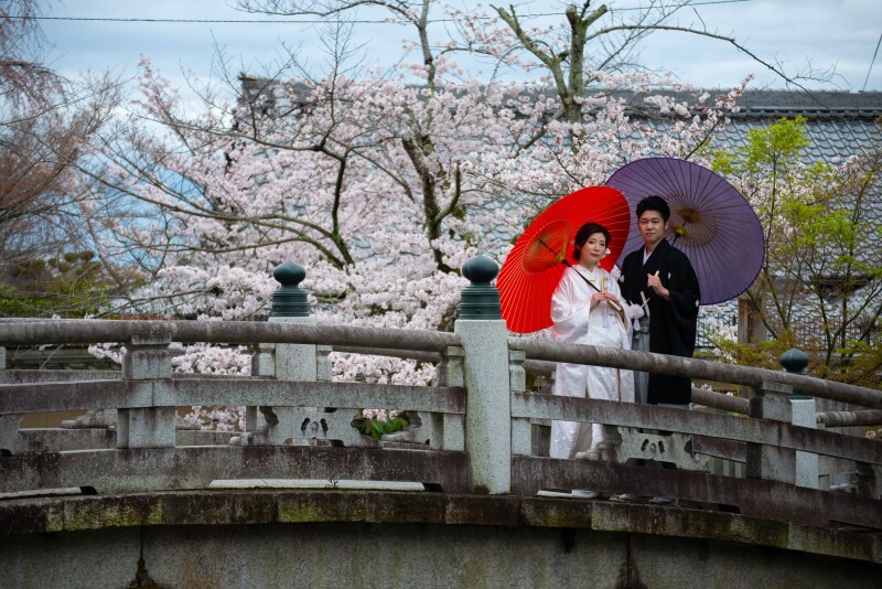 桜をバックに橋の上で撮影