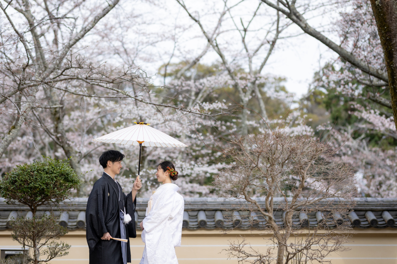 真っ白の番傘と真っ白の白無垢が絵になります