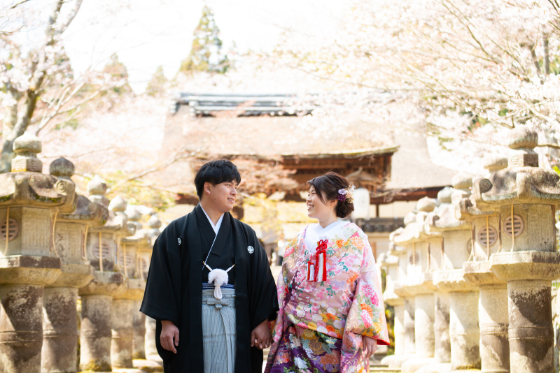 春の三井寺撮影