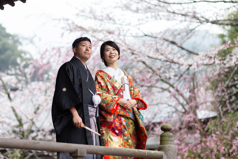 見上げる先には桜が・・・