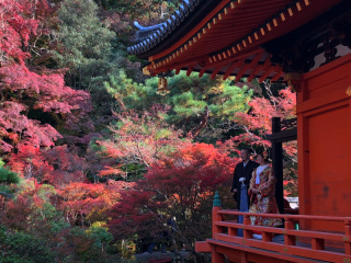 家族で毘沙門堂撮影です