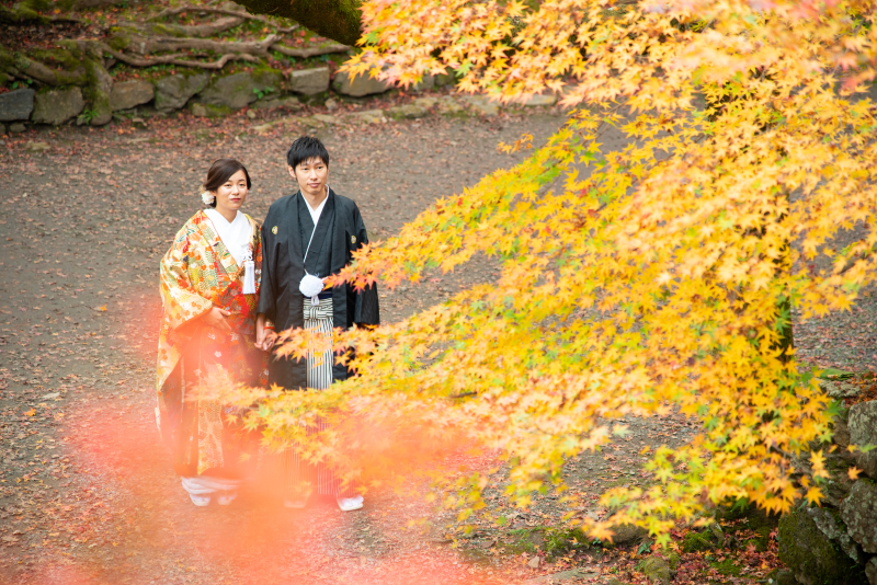 流れるような紅葉・・お二人の上から撮影