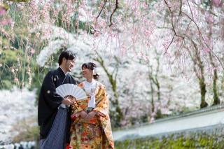 桜満開！三井寺撮影