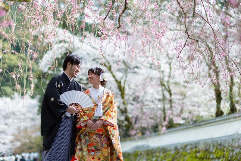 桜満開！三井寺撮影