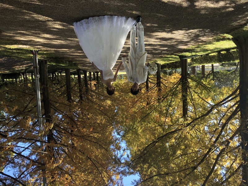 メタセコイア並木でお二人笑顔