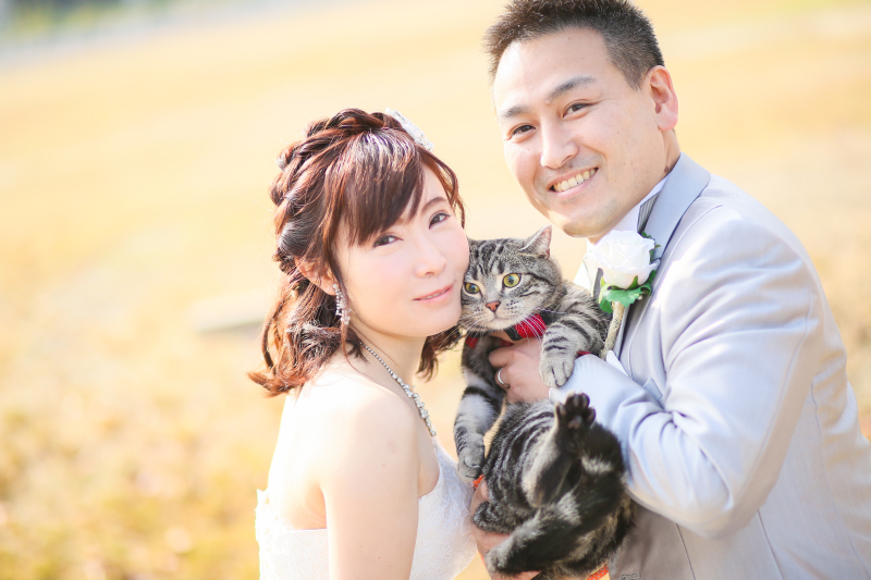 ペットの猫ちゃんと一緒に