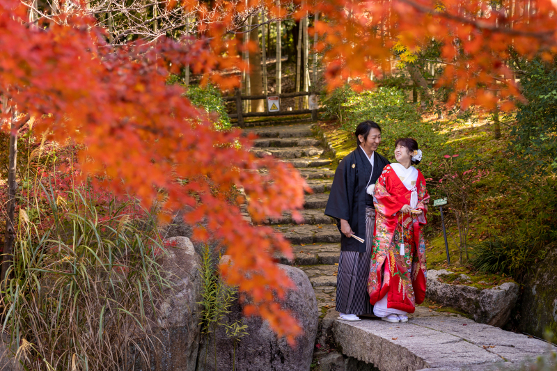 庭園のもみじが見ごろを迎えていました