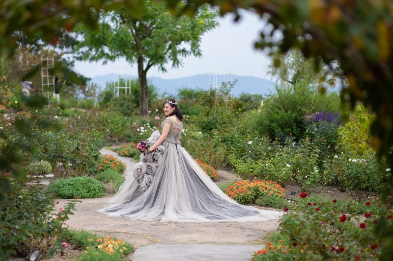 カラードレス姿をソロで