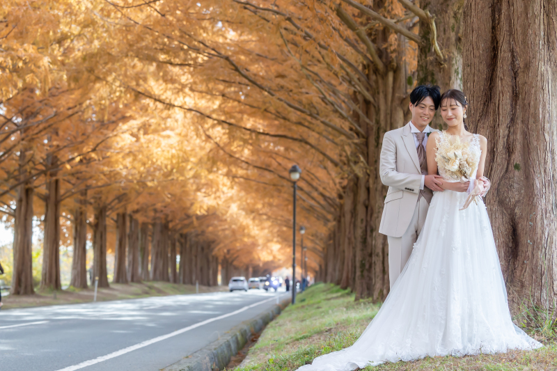 黄金色に輝くメタセコイヤ並木をバックに