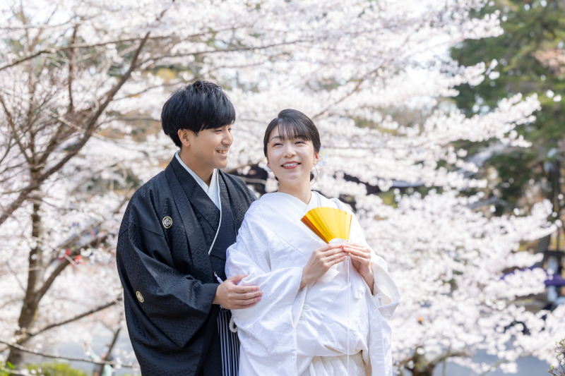 見渡す限りの桜に包まれて