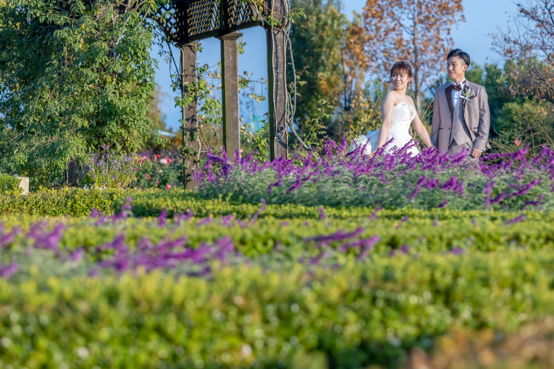 イングリッシュガーデンで撮影