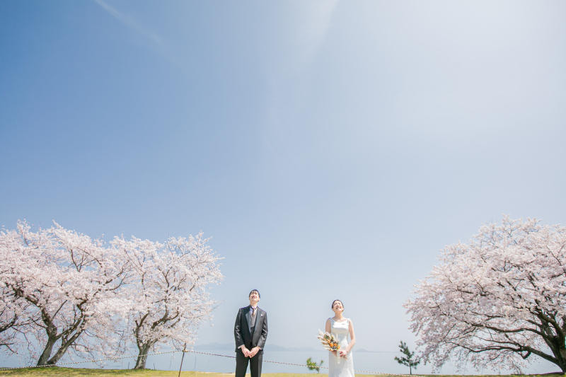 桜と琵琶湖と青空と撮影です
