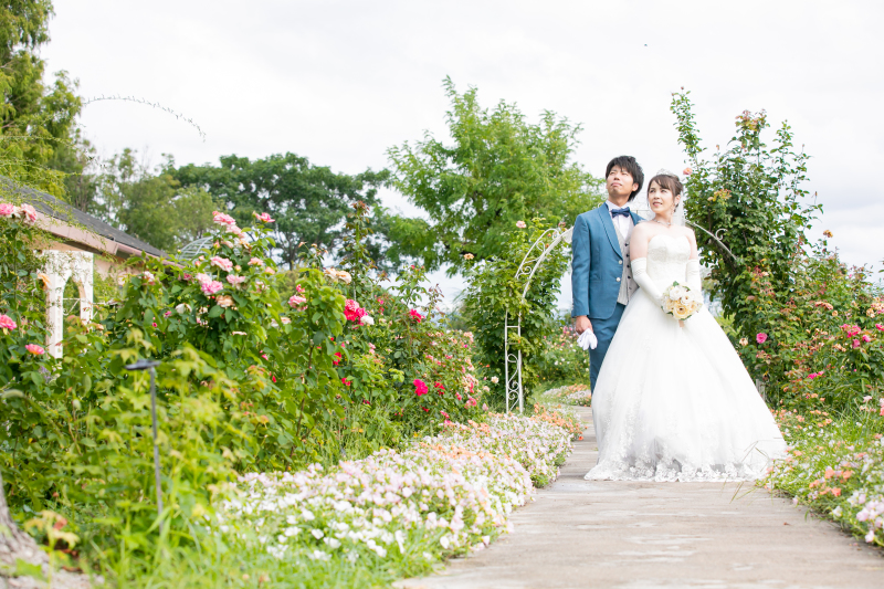 バラの香りに包まれて撮影です