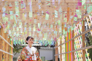 滋賀西教寺撮影です