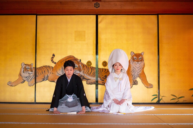 虎の間で清楚に撮影