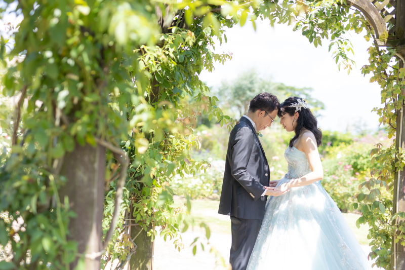 夏の日差しを浴びながらキラキラ