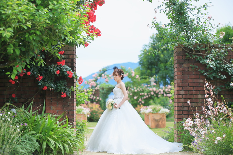 色とりどりの薔薇に囲まれソロショットです