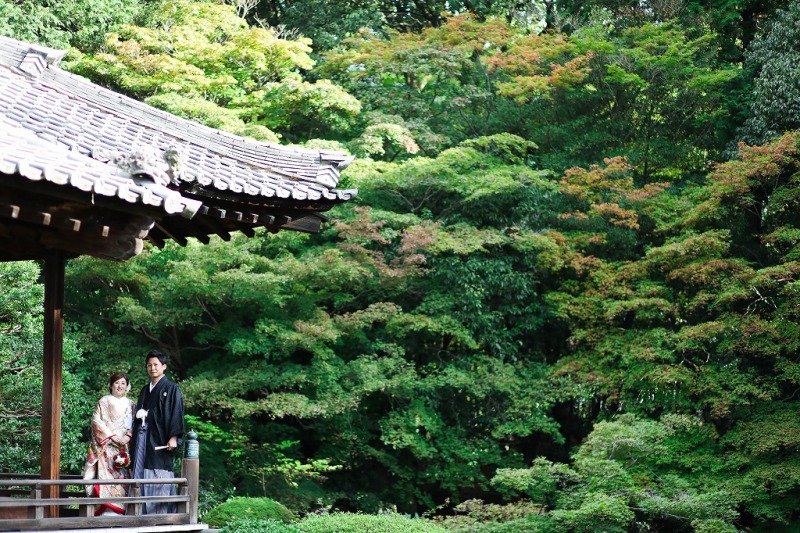 【たくさん着たい方に♪】上質な本格和装2点プラン《色打掛と白無垢自由セレクト》150カットデータ納品