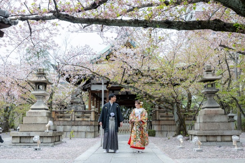 大津まつりの元宮である天孫神社で桜に包まれて和装フォト（お二人だけの撮影貸しきりも可能）