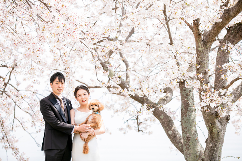 洋装を着てペットと撮影が叶います‼新郎新婦洋装衣裳・撮影・撮影データ・ヘアーメイク・アテンド