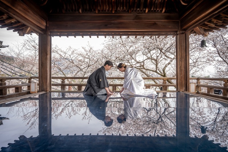 注目の三井寺観月舞台!舞台に映り込む桜の貸しきり撮影と三井寺境内の撮影付き 観光客の少ない時間で平日がおススメ