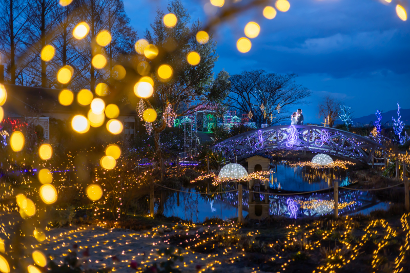 琵琶湖大津館イルミネーションフォト!この時期にしか撮影できない瞬間をお二人の想い出の一日に・・・