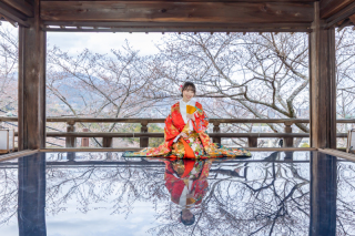 注目の三井寺観月舞台！舞台に映り込む桜の貸しきり撮影と三井寺境内の撮影付き！早期ご予約特典として2月上旬まで日にち変更可能