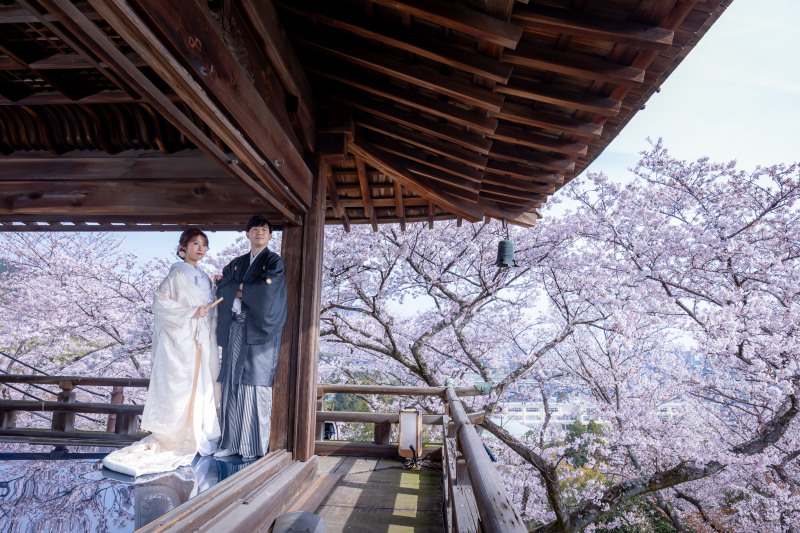 注目の三井寺観月舞台!舞台に映り込む桜の貸しきり撮影と三井寺境内の撮影付き 観光客の少ない時間で平日がおススメ