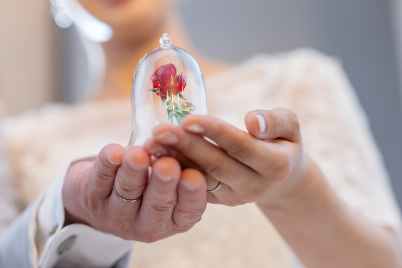 【自然光と白壁で敷き詰められたスタジオ撮影！】撮影時間1時間の50カット保障‼ペットとの撮影もスタジオで可能