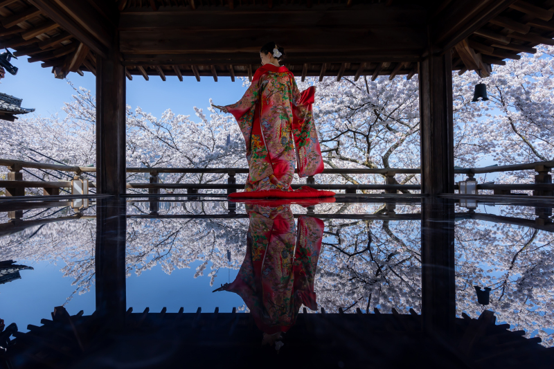 注目の三井寺観月舞台!舞台に映り込む桜の貸しきり撮影と三井寺境内の撮影付き 観光客の少ない時間で平日がおススメ