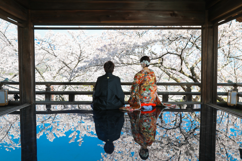 注目の三井寺観月舞台!舞台に映り込む桜の貸しきり撮影と三井寺境内の撮影付き 観光客の少ない時間で平日がおススメ