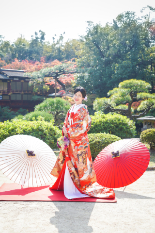 赤x金　御所車柄