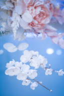 ホワイトフラワーイヤリング