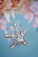 スターフィッシュコーム