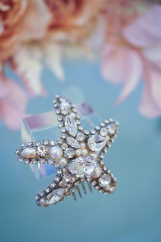 スターフィッシュコーム