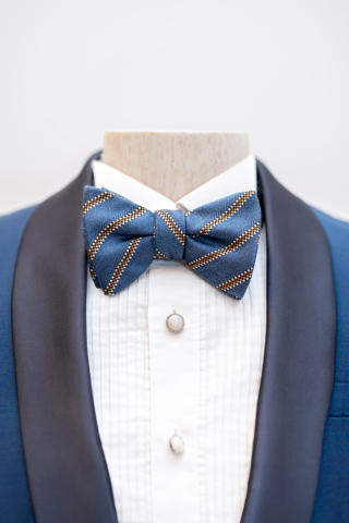 ブルーライン蝶ネクタイ