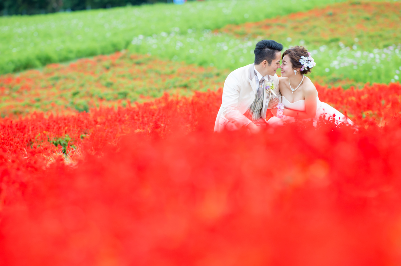 【ロケ和洋洋ナイト３点プラン】日本庭園→淡路島→ハーバーランド　