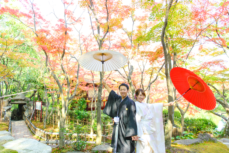 赤い紅葉に包まれて。