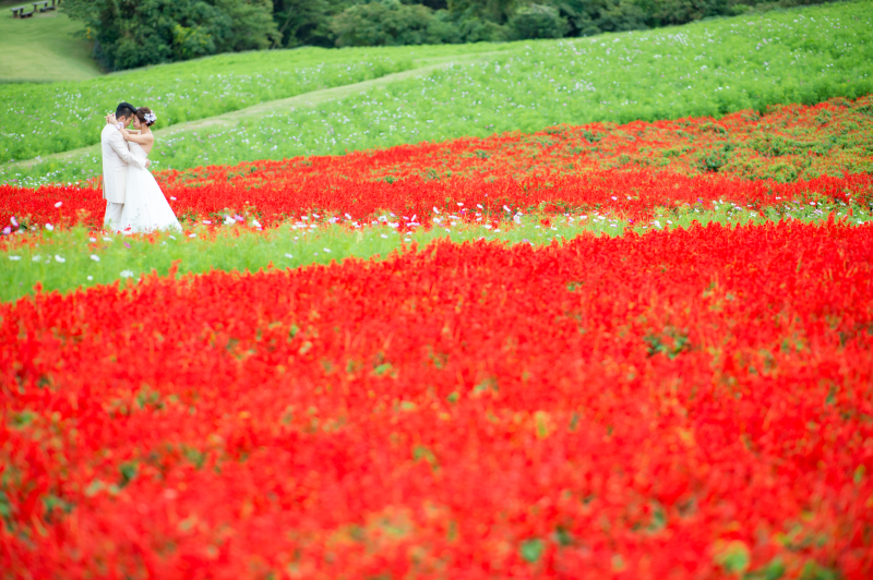 淡路島「花さじき」でロケフォト
