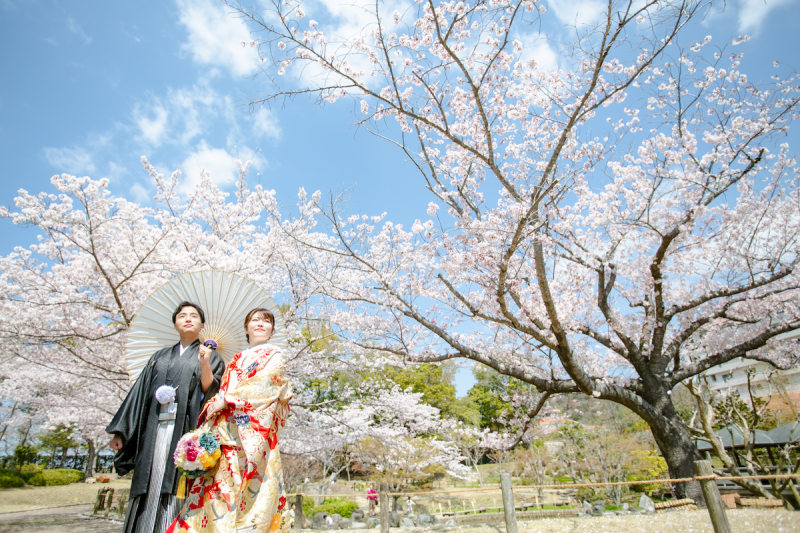 桜、本当に綺麗でした♡♡