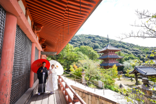 【和装1点・洋装1点ナイト付き】神戸でロマンチックな1日を大満喫！♡