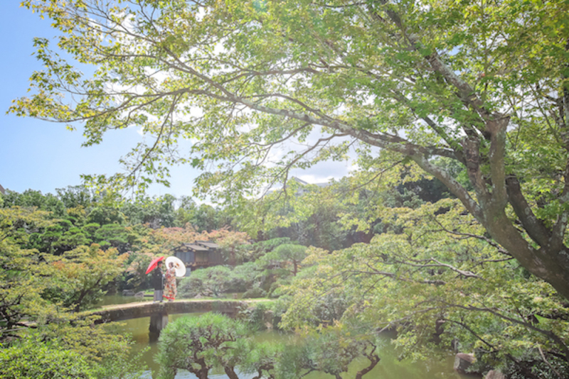 緑が綺麗な日本庭園で◎