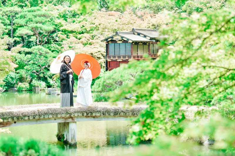 美しいシーンを素敵な背景で。