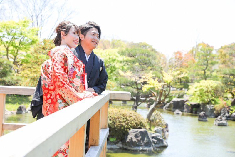 日本庭園の風流な池にたくさんの鯉が泳いでいます。