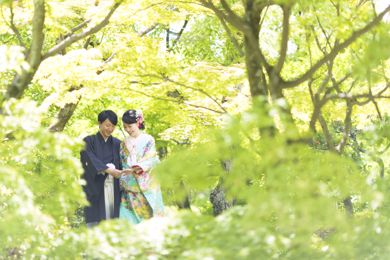 木漏れ日の中の緑に囲まれて