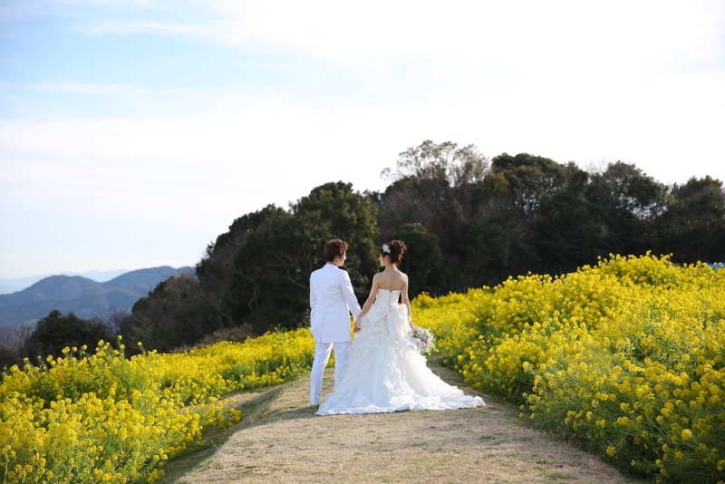 一面の菜の花畑で撮影が可能です!!