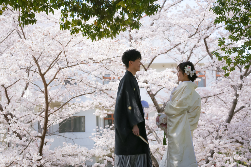 この季節といえば桜ですよね♡
